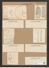 Cymatopleura sp. (de-Toni-Nr.: Genus 54) Zeichnungen Sammlung Grunow Nr. 4870 (NHMW-BOT-W0373054)